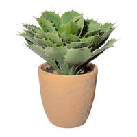 Kunstpflanze Echeveria grün Kunststoff B/H/L: ca. 20x40x20 cm Echeveria - grün (20,00/20,00/40,00cm)