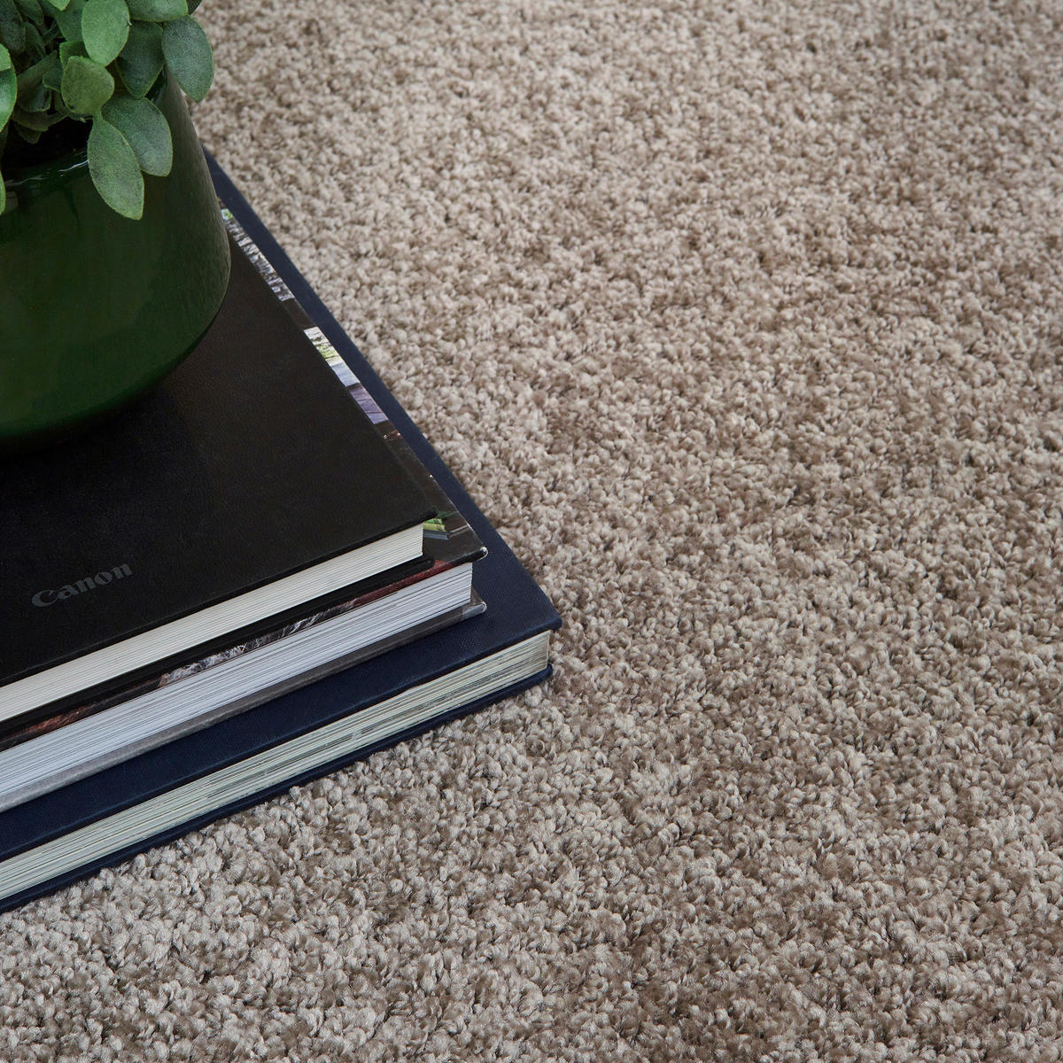 Teppich Tampa kamel B/L: ca. 160x230 cm Tampa - kamel (160,00/230,00cm)