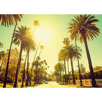 Komar Poster Palm Alley Palmen B/L: ca. 40x30 cm Palm Alley - (40,00/30,00cm) - Komar