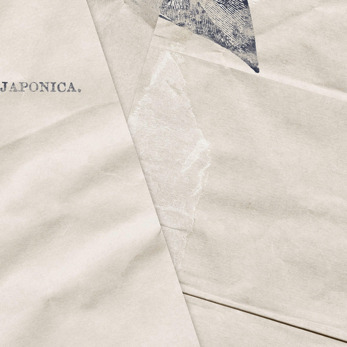 Komar Fototapete Botanical Papers B/L: ca. 400x280 cm Botanical Papers - (400,00/280,00cm) - Komar
