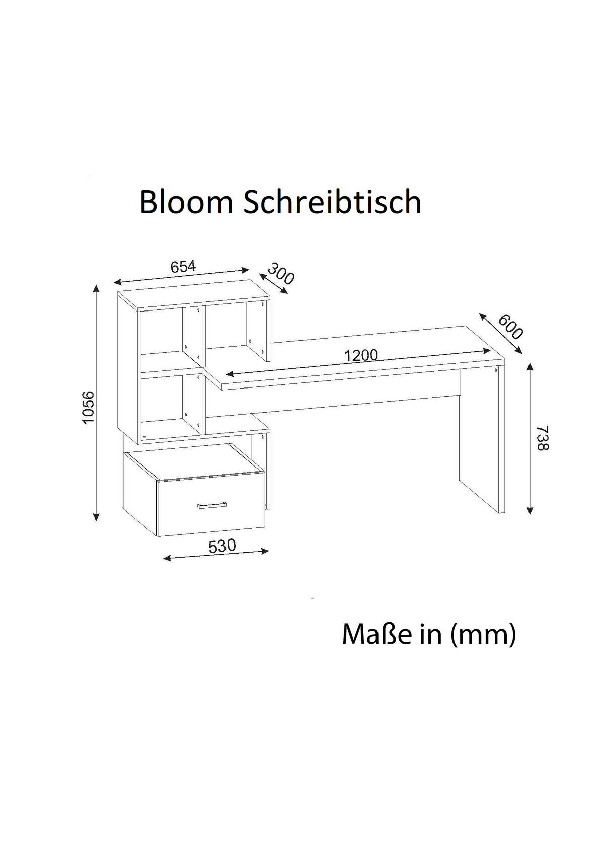 Schreibtisch Bloom weiß walnuss Nachbildung B/H/T: ca. 120x73x60 cm Bloom - weiß/walnuss (120,00/73,00/60,00cm) - moebel17
