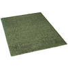Teppich Emilia grün B/L: ca. 133x190 cm Emilia - grün (133,00/190,00cm)