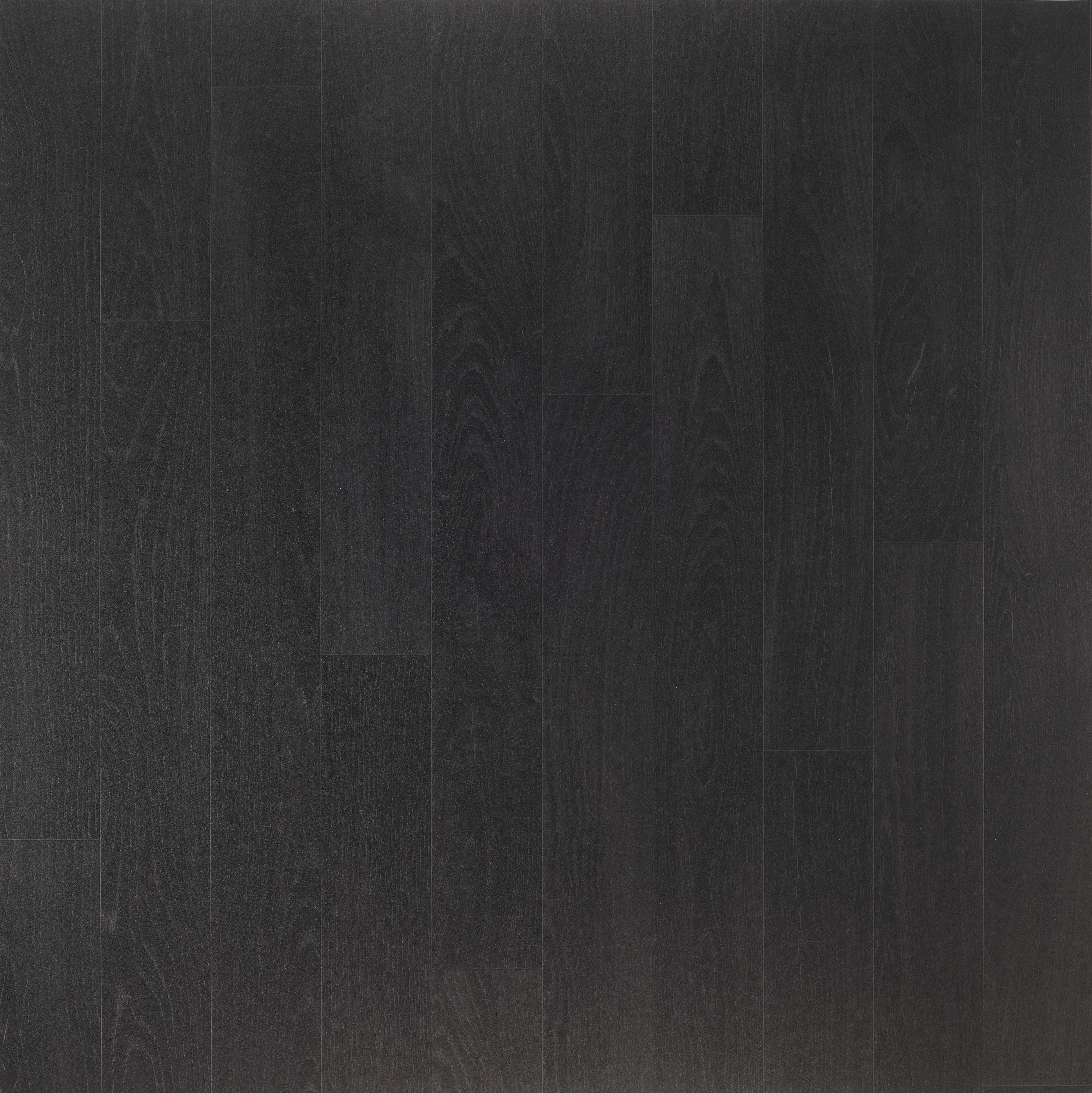 Vinylboden Turbo schwarz Eiche B: ca. 200 cm pro m² Turbo - schwarz (200,00cm)