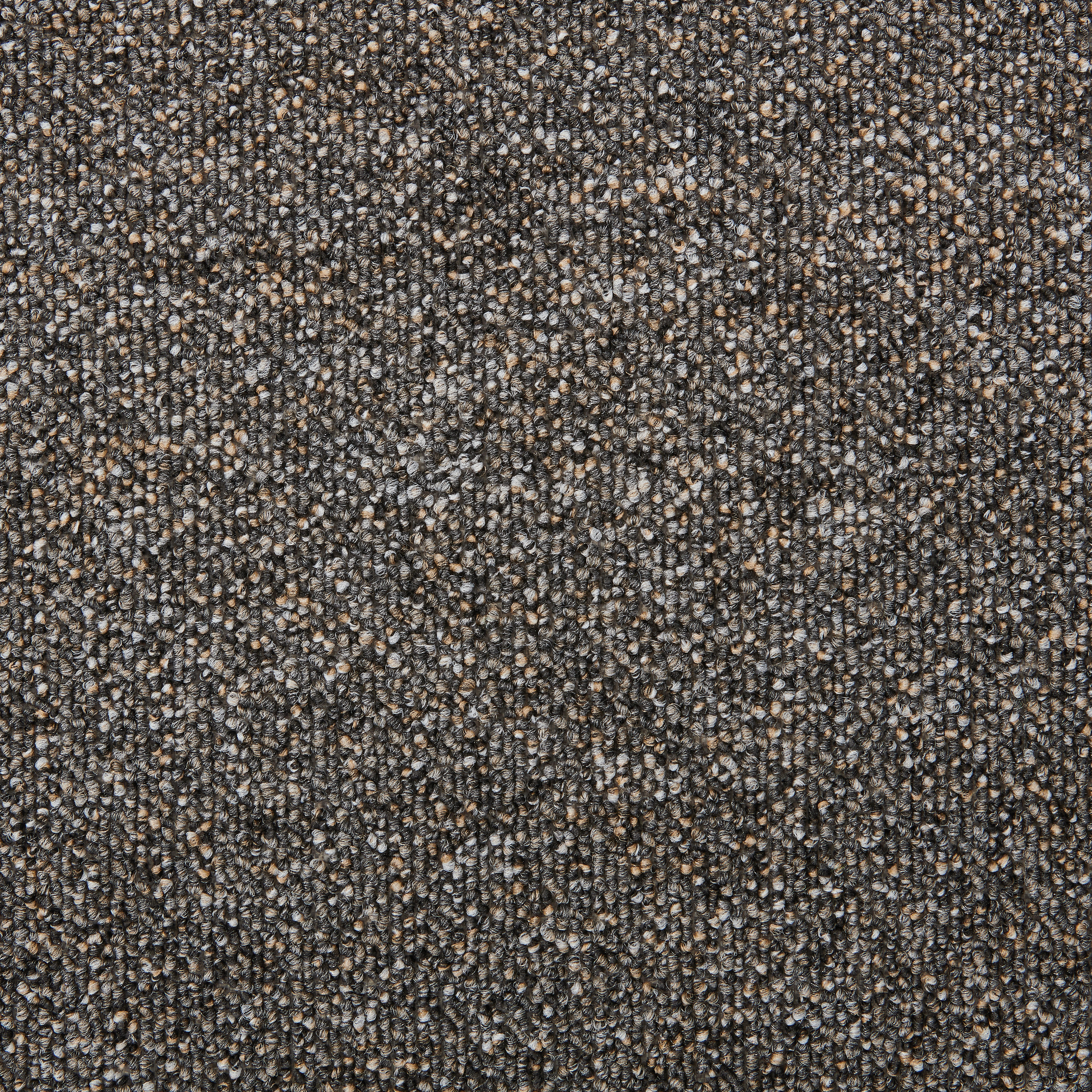 Teppichboden Nero anthrazit B: ca. 400 cm pro m² Nero - anthrazit (400,00cm)