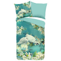 Bettwäsche Loving aqua Baumwolle B/L: ca. 135x200 cm Loving - aqua (135,00/200,00cm) - Good Morning