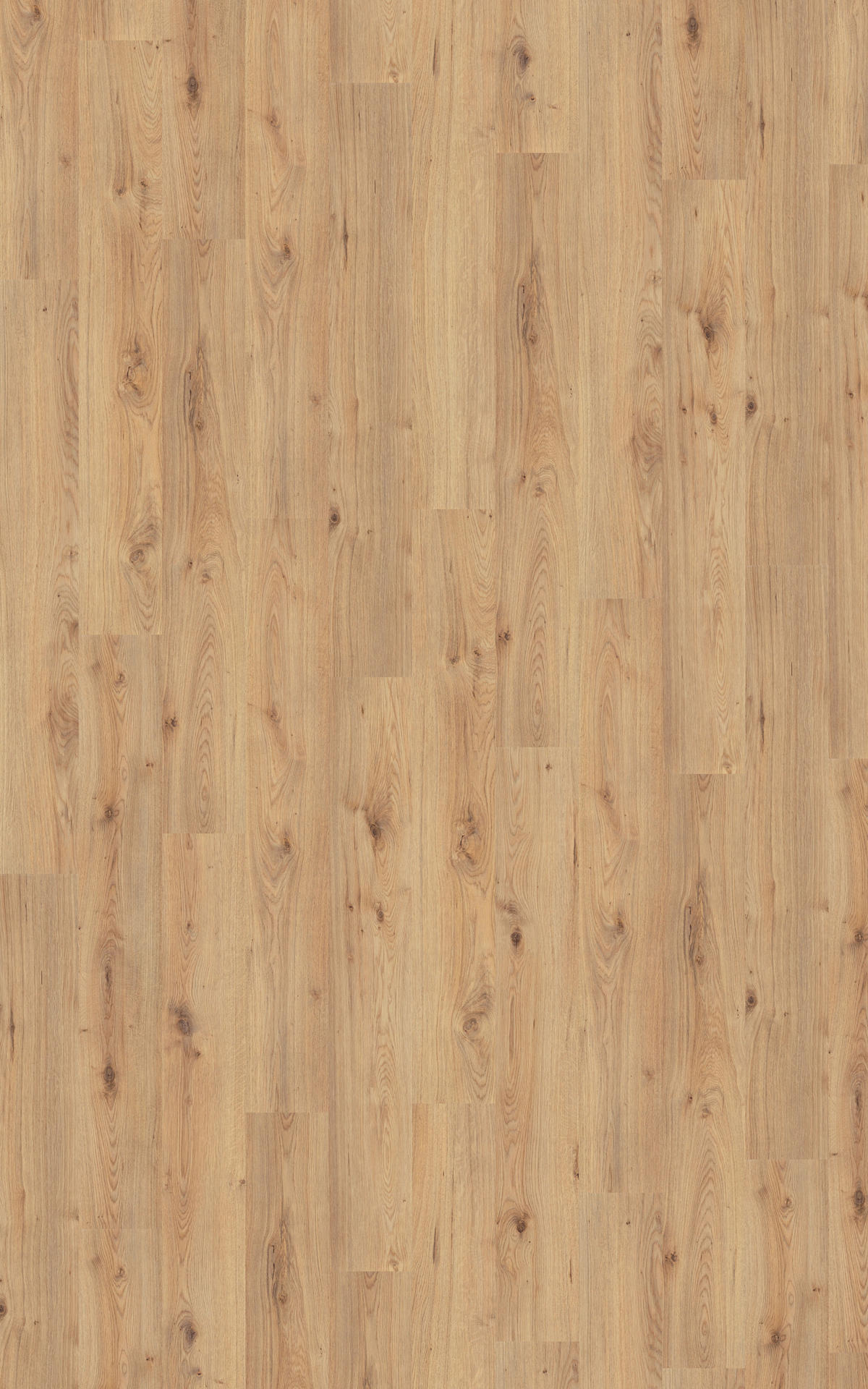 Laminatboden Millenium ca. 2,39 m² im Paket  B/L: ca. 19,3x137,9 cm pro Paket Millenium ca. 2,39 m² im Paket - natur (19,30/137,90cm)