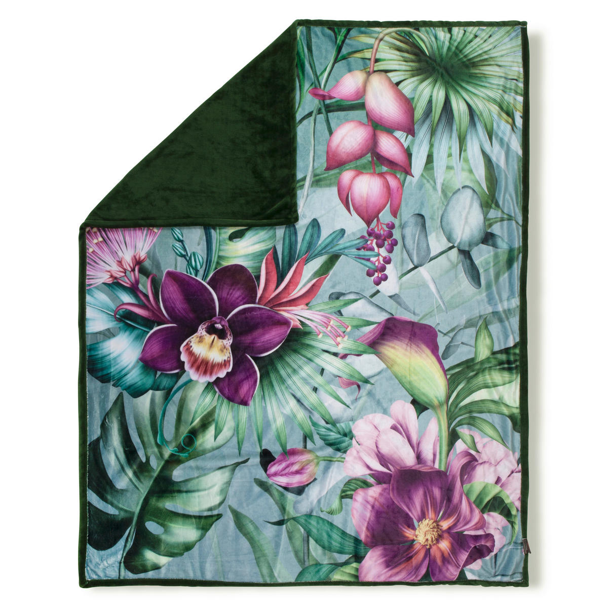 Wohndecke Allison Polysamt Allison - Multi (130,00/160,00cm) - Descanso