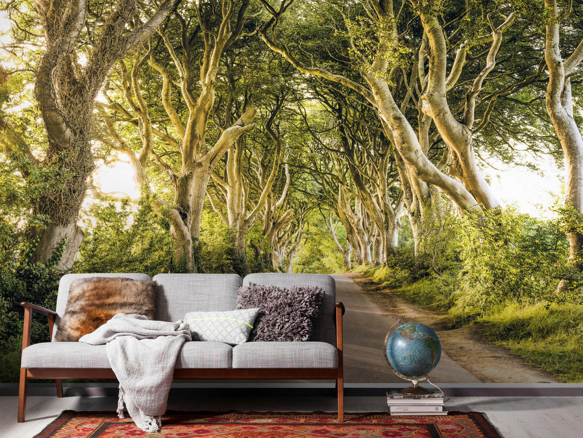 Komar Fototapete Golden Hedges B/L: ca. 400x250 cm Golden Hedges - (400,00/250,00cm) - Komar