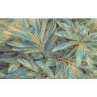Komar Fototapete Amazonia Vibes B/L: ca. 400x250 cm Amazonia Vibes - (400,00/250,00cm) - Komar