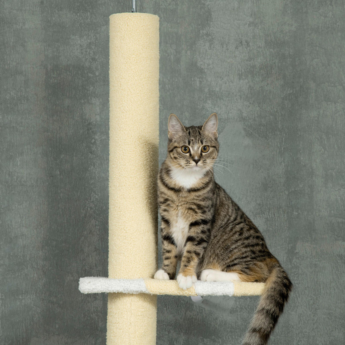 PawHut Kratzbaum gelb Spanplatte B/H/L: ca. 34x260x47 cm Kratzbaum - gelb (47,00/34,00/260,00cm) - PawHut