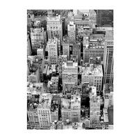 Komar Poster Roof Top Stadt B/L: ca. 30x40 cm Roof Top - (30,00/40,00cm) - Komar