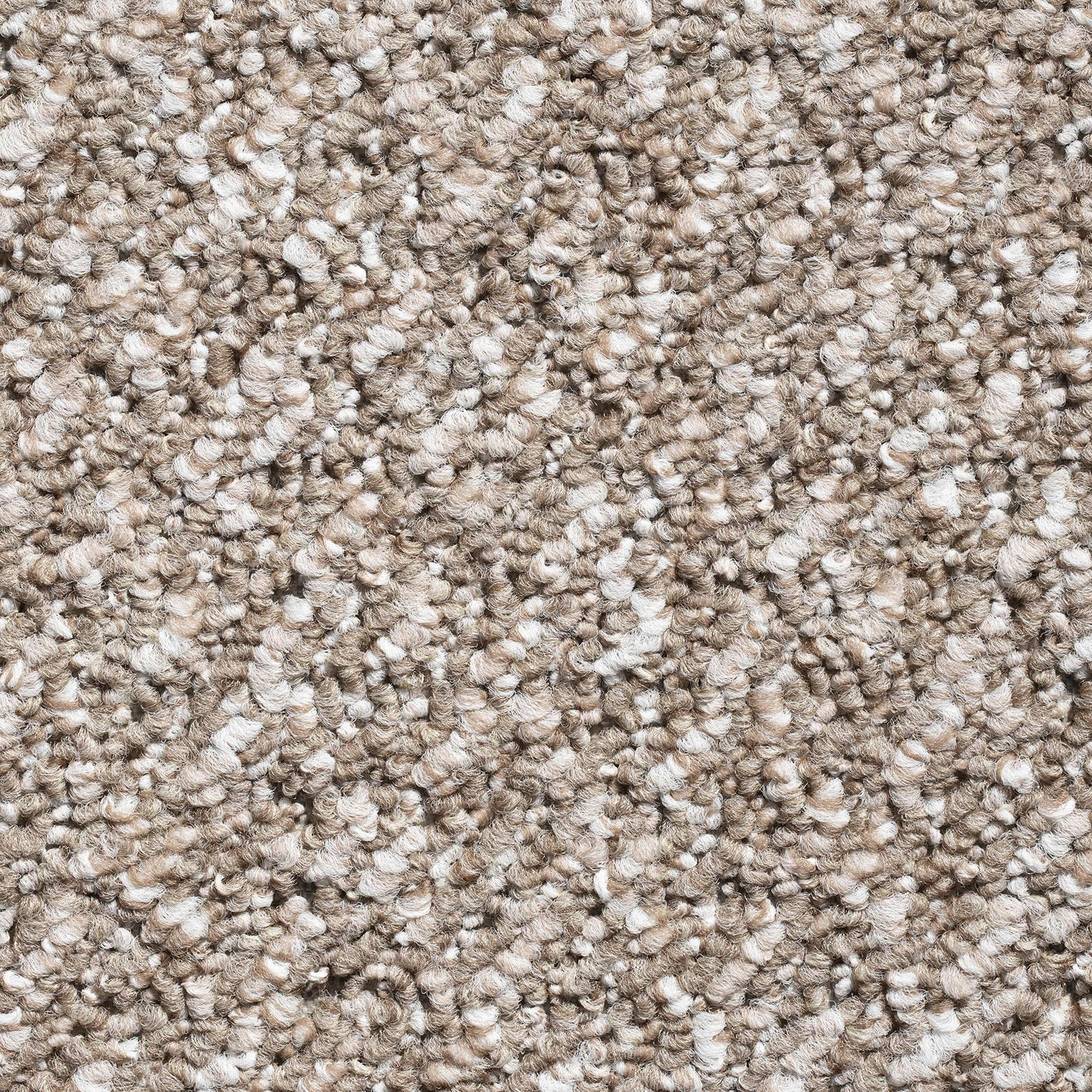 Teppichboden Bonanza dunkelbeige B: ca. 500 cm pro m² Bonanza - dunkelbeige (500,00cm)