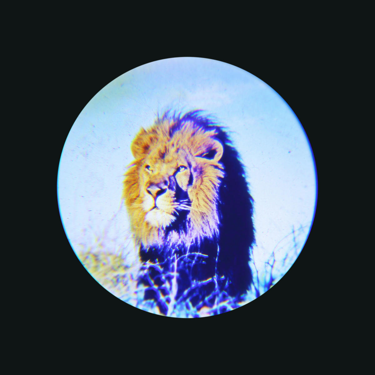 GLOBO Tischleuchte silber bunt schwarz PVC Kunststoff B/H/L: ca. 7x18,5x9,5 cm 1 Brennstellen COSMO - bunt/schwarz (9,50/7,00/18,50cm) - GLOBO