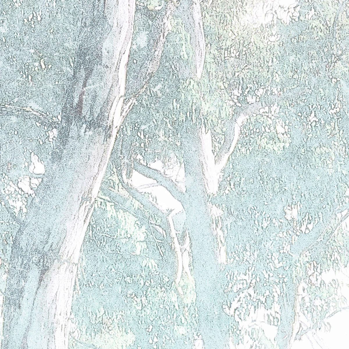 Komar Fototapete Magic Trees B/L: ca. 300x280 cm Magic Trees - (300,00/280,00cm) - Komar