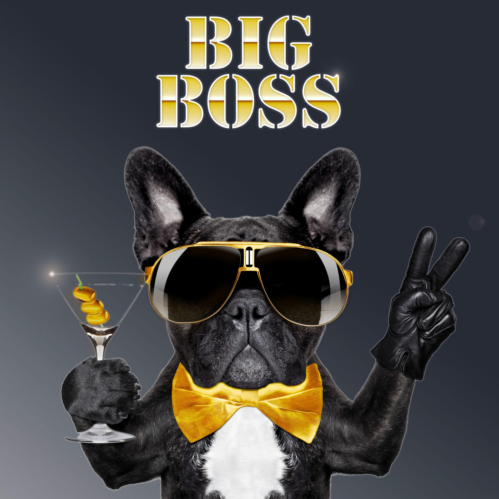 Keilrahmenbild Keilrahmenbild 35x35cm - (35,00/35,00cm)