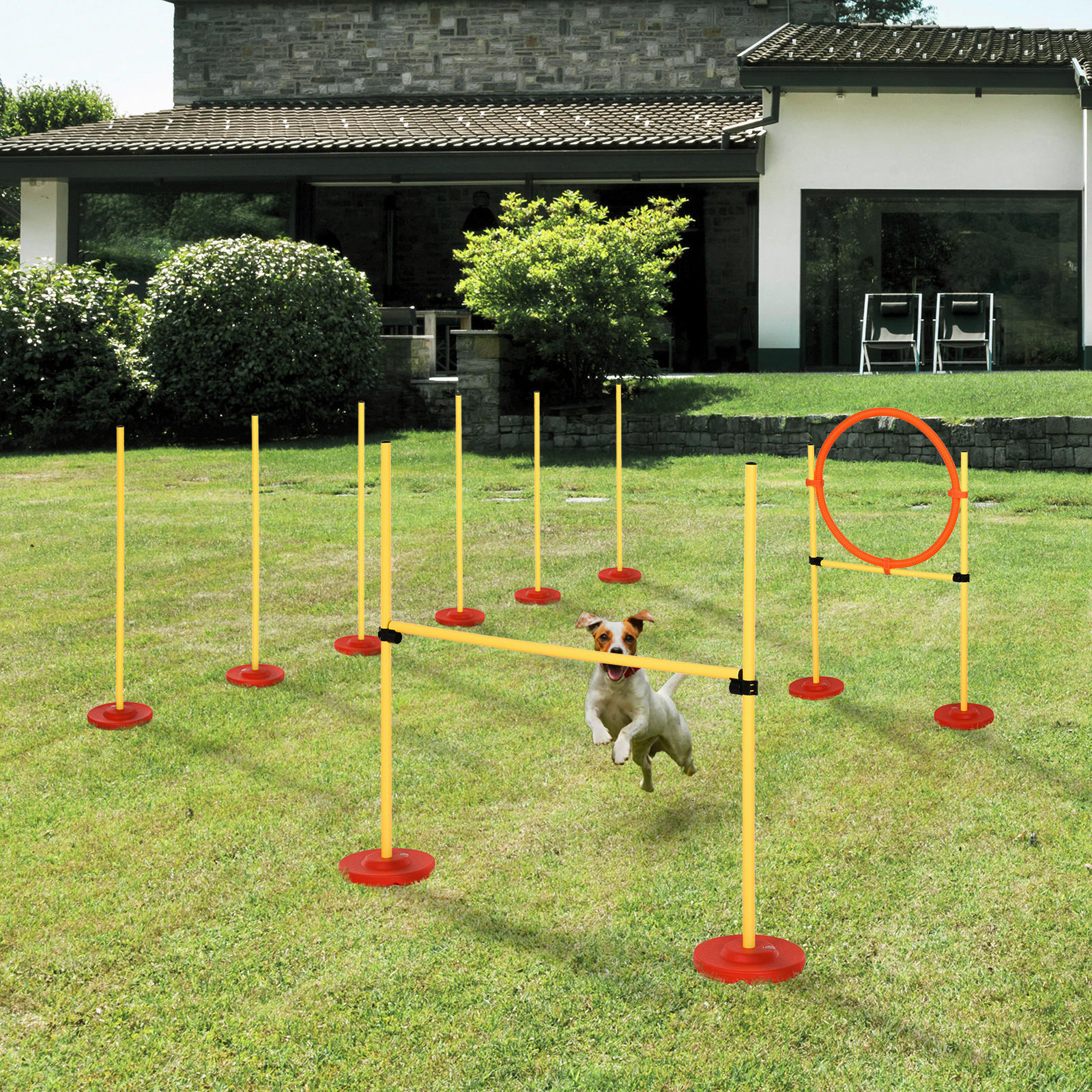 PawHut Agility gelb Kunststoff B/H/L: ca...