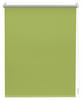 Thermo Klebe-/Klemmrollo Verdunklungsqualität grün B/L: ca. 95x150 cm Rollo_schnurlos_Thermo_VD_Klemmfix - grün (95,00/150,00cm) - LICHTBLICK