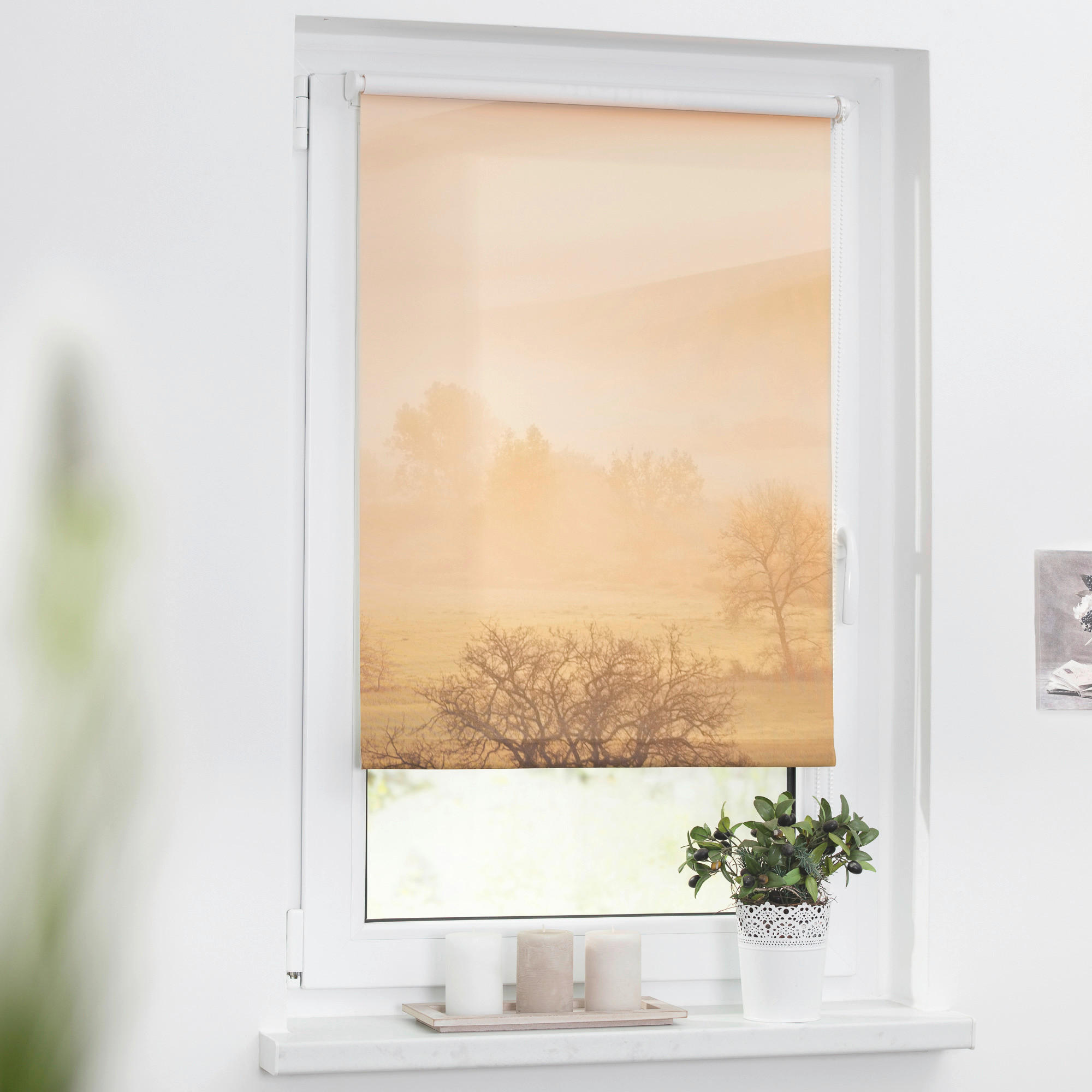 LICHTBLICK Verdunkelungsrollo Toskana orange B/L: ca. 80x150 cm Toskana - orange/braun (80,00/150,00cm) - LICHTBLICK