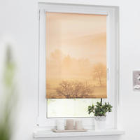 Verdunkelungsrollo Toskana orange B/L: ca. 120x150 cm Toskana - orange/braun (120,00/150,00cm) - LICHTBLICK