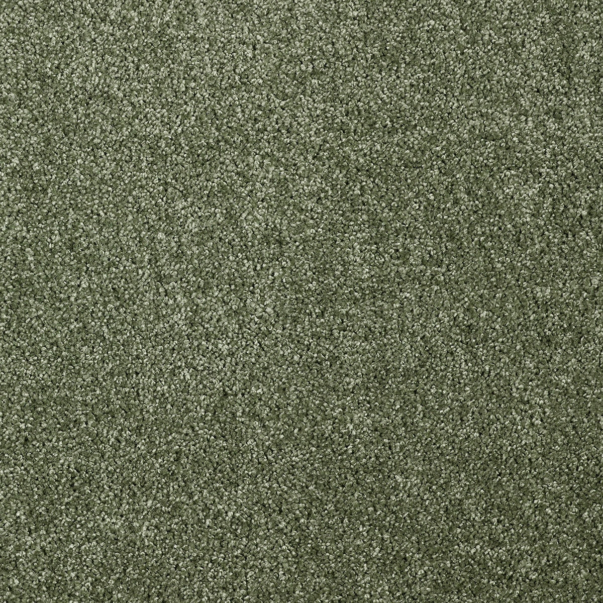 Teppichboden Olvera grün B: ca. 400 cm pro m² Olvera - grün (400,00cm)