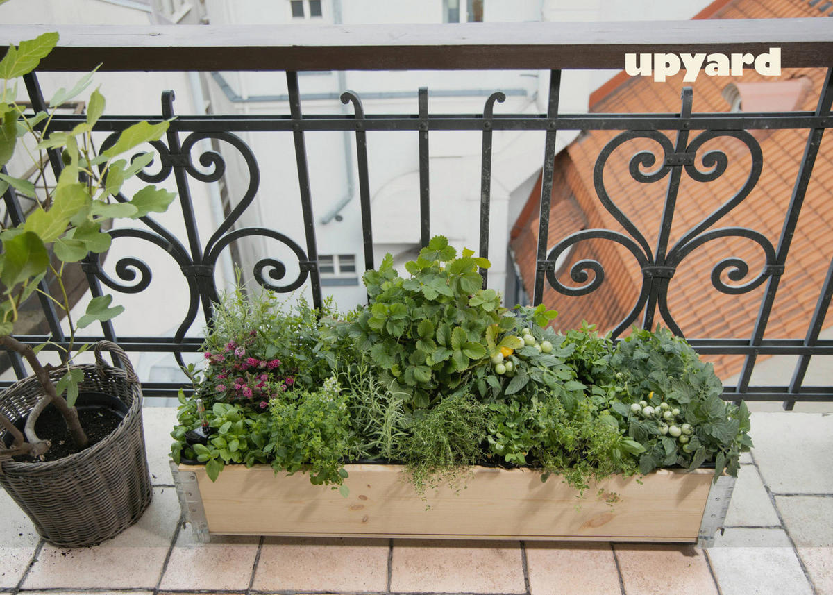 UPYARD Kräuterkasten INDUSTRIAL natur Holz B/L: ca. 40x120 cm INDUSTRIAL - natur (40,00/120,00cm) - UPYARD