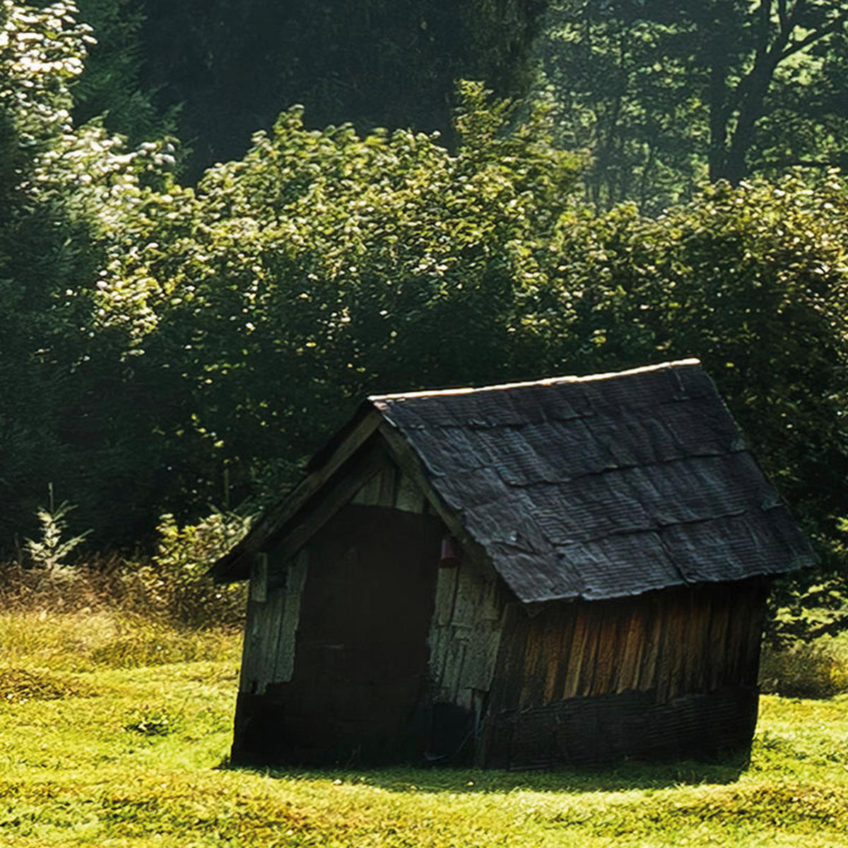 Komar Fototapete Bergwiese vor Karwendel B/L: ca. 450x280 cm Bergwiese vor Karwendel - (450,00/280,00cm) - Komar
