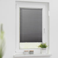 Spannplissee grau B/L: ca. 55x130 cm Plissee_Haftfix - grau (55,00/130,00cm) - LICHTBLICK