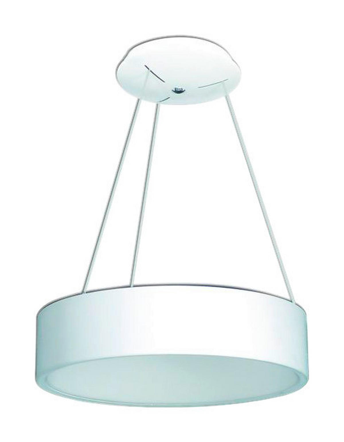 Näve Leuchten LED Pendelleuchte Carla - weiß (45,00/150,00cm) - Näve Leuchten
