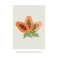 Komar Poster Cultivated Papaya Pflanzen B/L: ca. 50x70 cm Cultivated Papaya - (50,00/70,00cm) - Komar