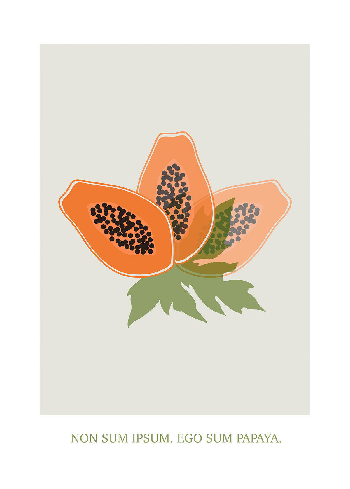 Komar Poster Cultivated Papaya Pflanzen B/L: ca. 50x70 cm Cultivated Papaya - (50,00/70,00cm) - Komar