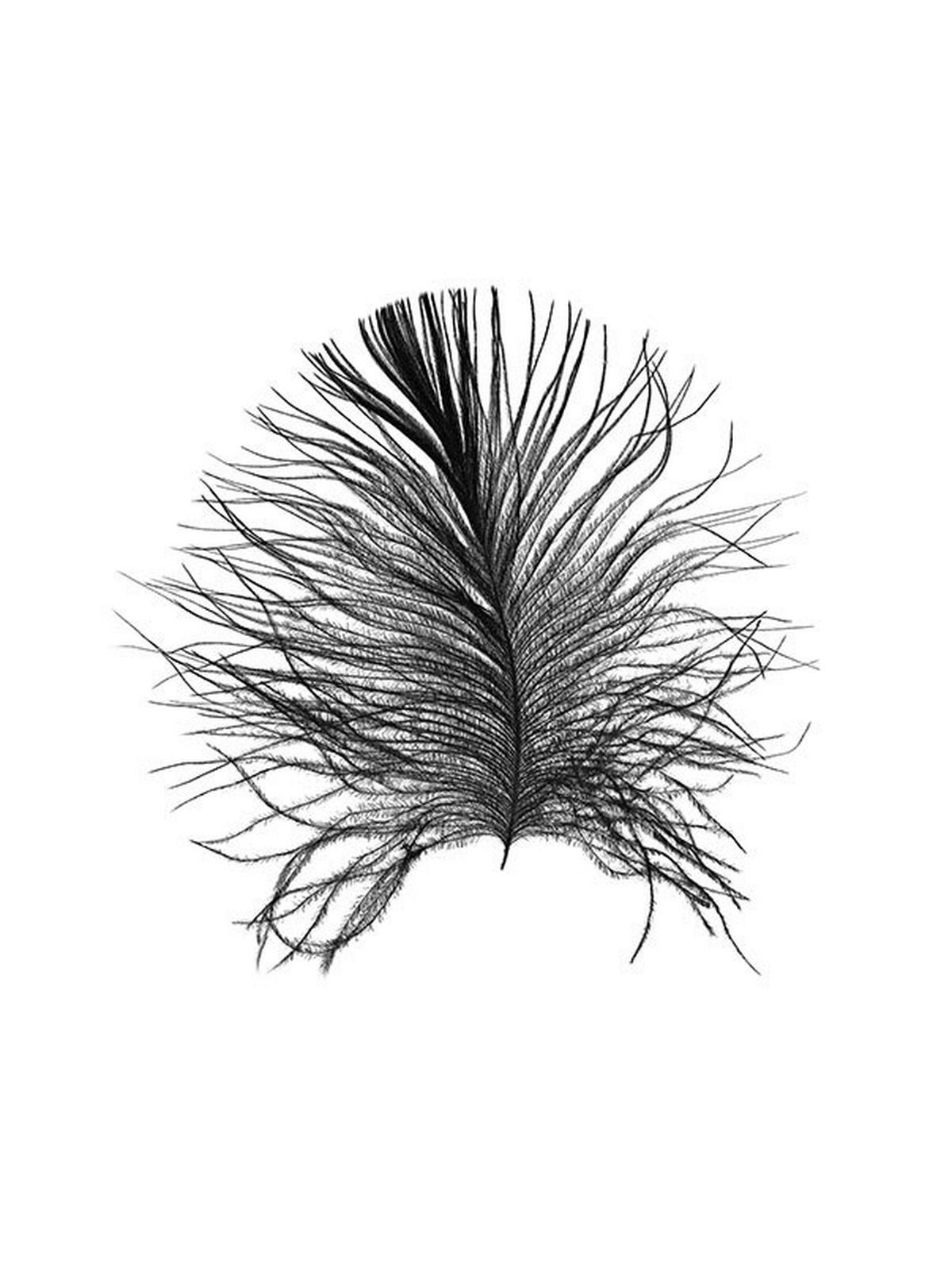 Komar Poster Feather White Feder B/L: ca. 30x40 cm Feather White - (30,00/40,00cm) - Komar