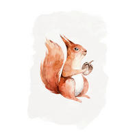 Komar Poster Hungry Squirrel Hungry Squirrel - Komar