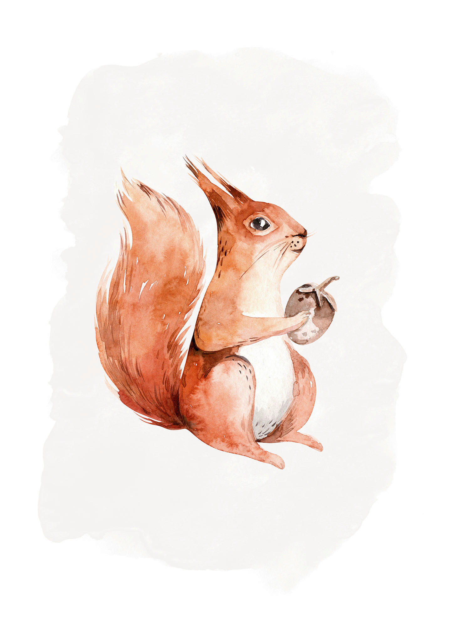 Komar Wandbild Hungry Squirrel