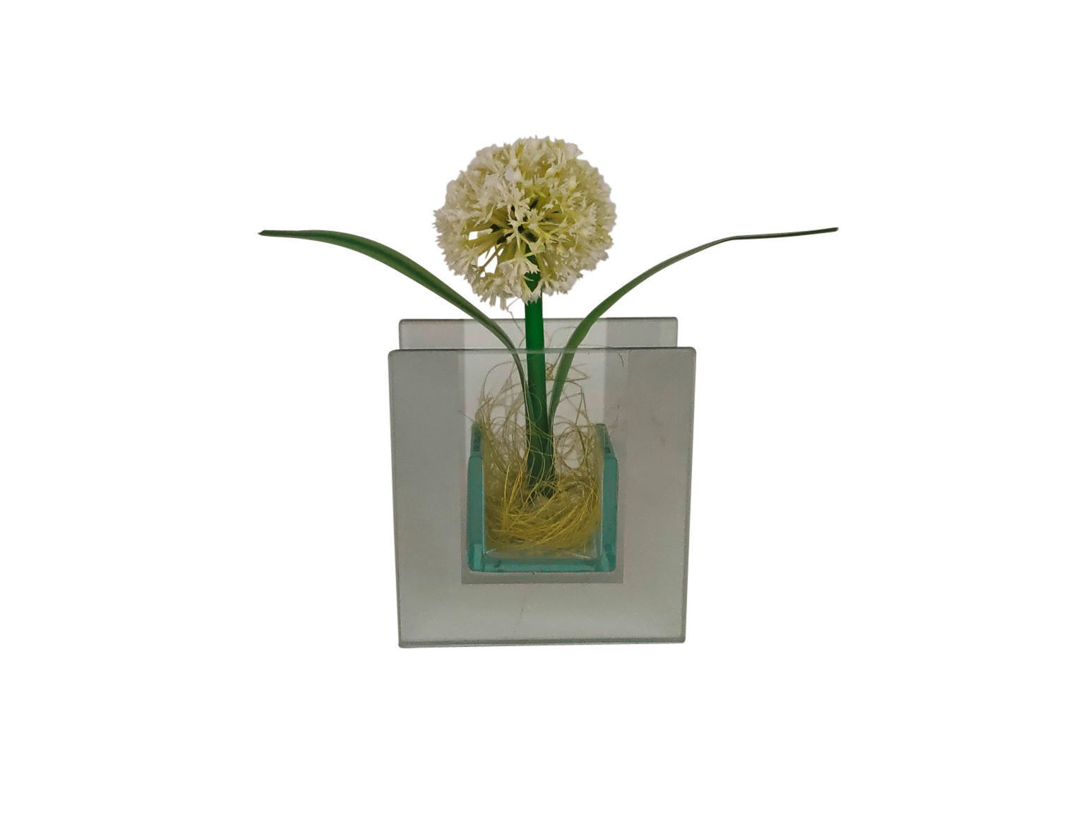 POCOline Vase klar Glas B/H/L: ca. 4x9x8,5 cm Spiegelvase_eckig - klar (8,50/4,00/9,00cm) - POCOline