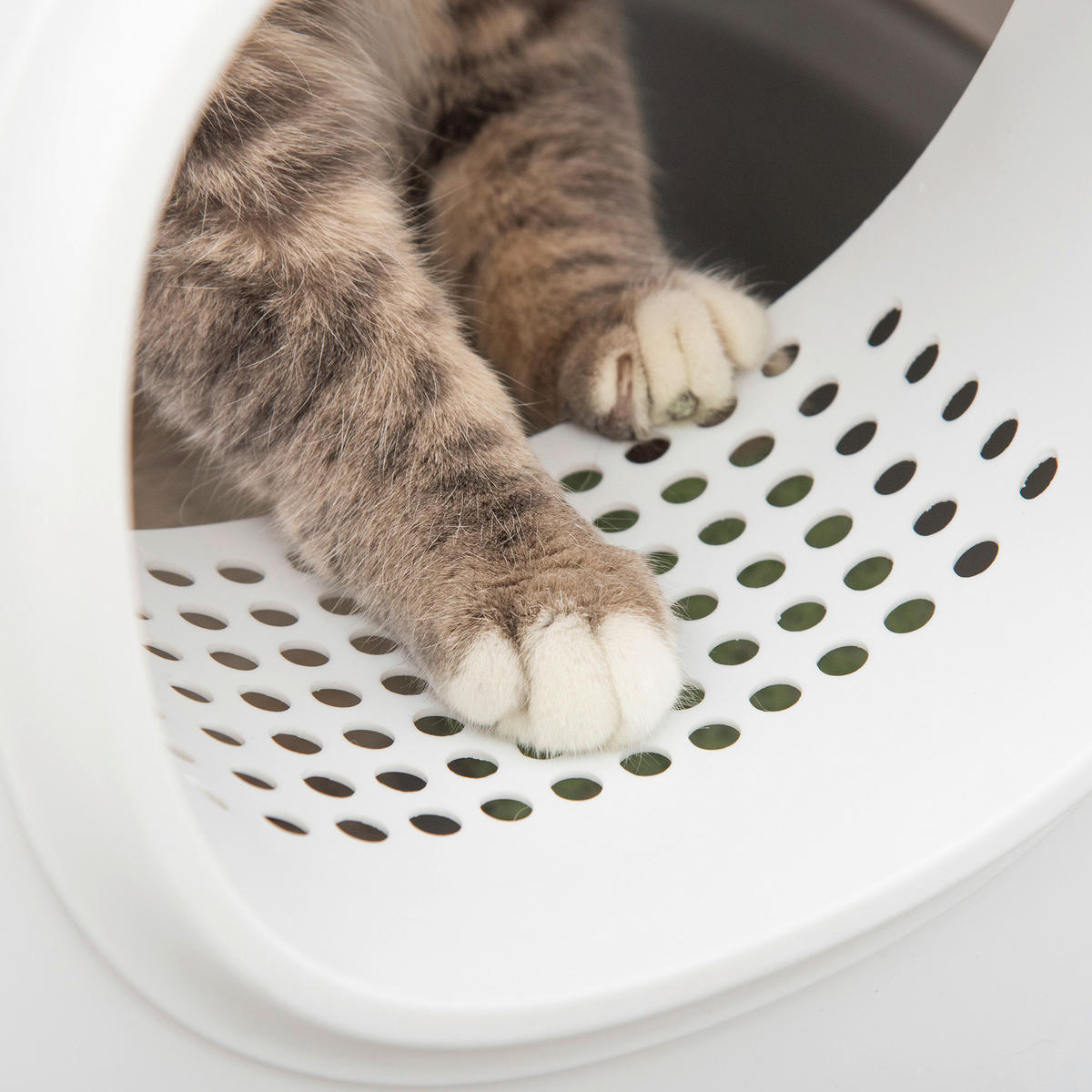 PawHut Katzentoilette hellgrau Kunststoff B/H/L: ca. 40x39x55 cm Katzentoilette - hellgrau/weiß (55,00/40,00/39,00cm) - PawHut