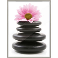 The Wall Bilderrahmen silber Kunststoff B/L: ca. 31x40 cm Fotorahmen 30x40cm - silber (31,00/40,00cm) - The Wall