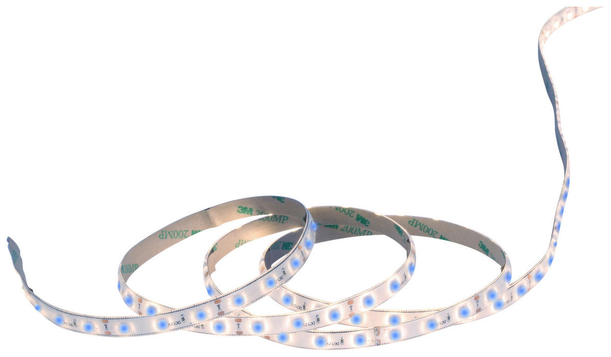 Näve Leuchten LED-Stripe 5073312 blau Kunststoff B/H/T: ca. 1x0,4x500 cm LED Stripe - blau (1,00/0,40/500,00cm) - Näve Leuchten
