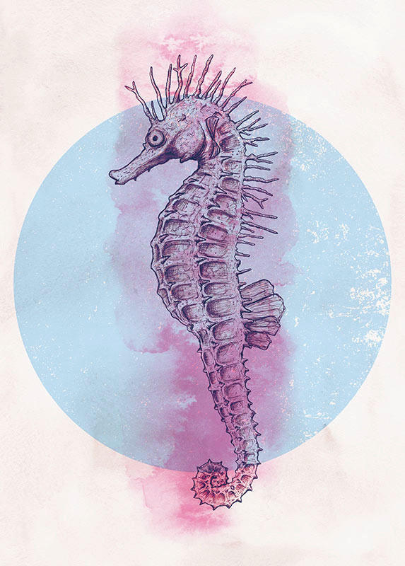 Komar Wandbild Sea Horse Circle Tiere B/L: ca. 50x70 cm günstig online kaufen