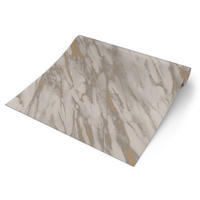 Rasch Papiertapete Marmoroptik grau gold B/L: ca. 53x1005 cm Papiertapete_200140 - gold/grau (53,00/1005,00cm) - Rasch
