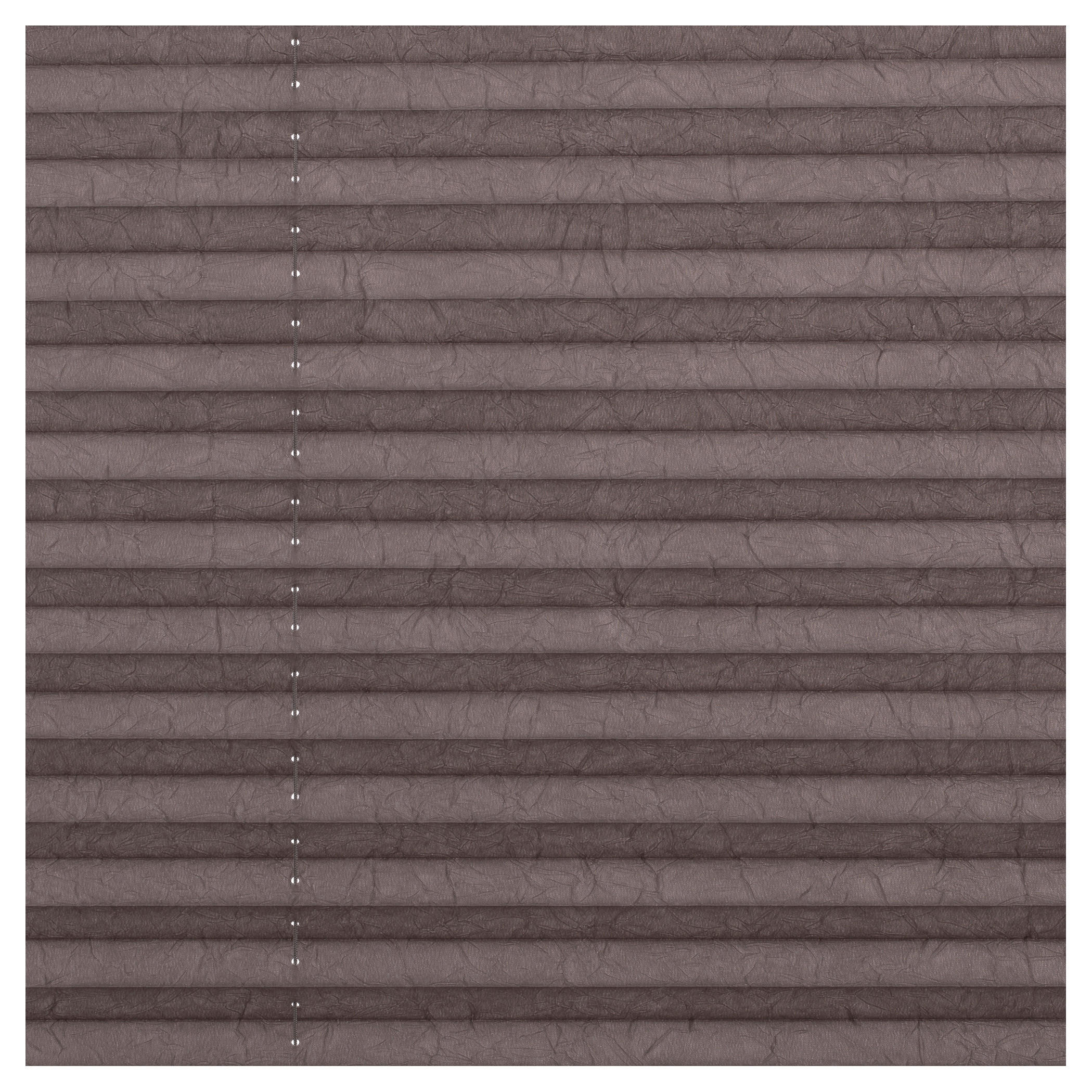 Spannplissee taupe B/L: ca. 50x130 cm Plissee_Klemmfix - taupe (50,00/130,00cm) - LICHTBLICK
