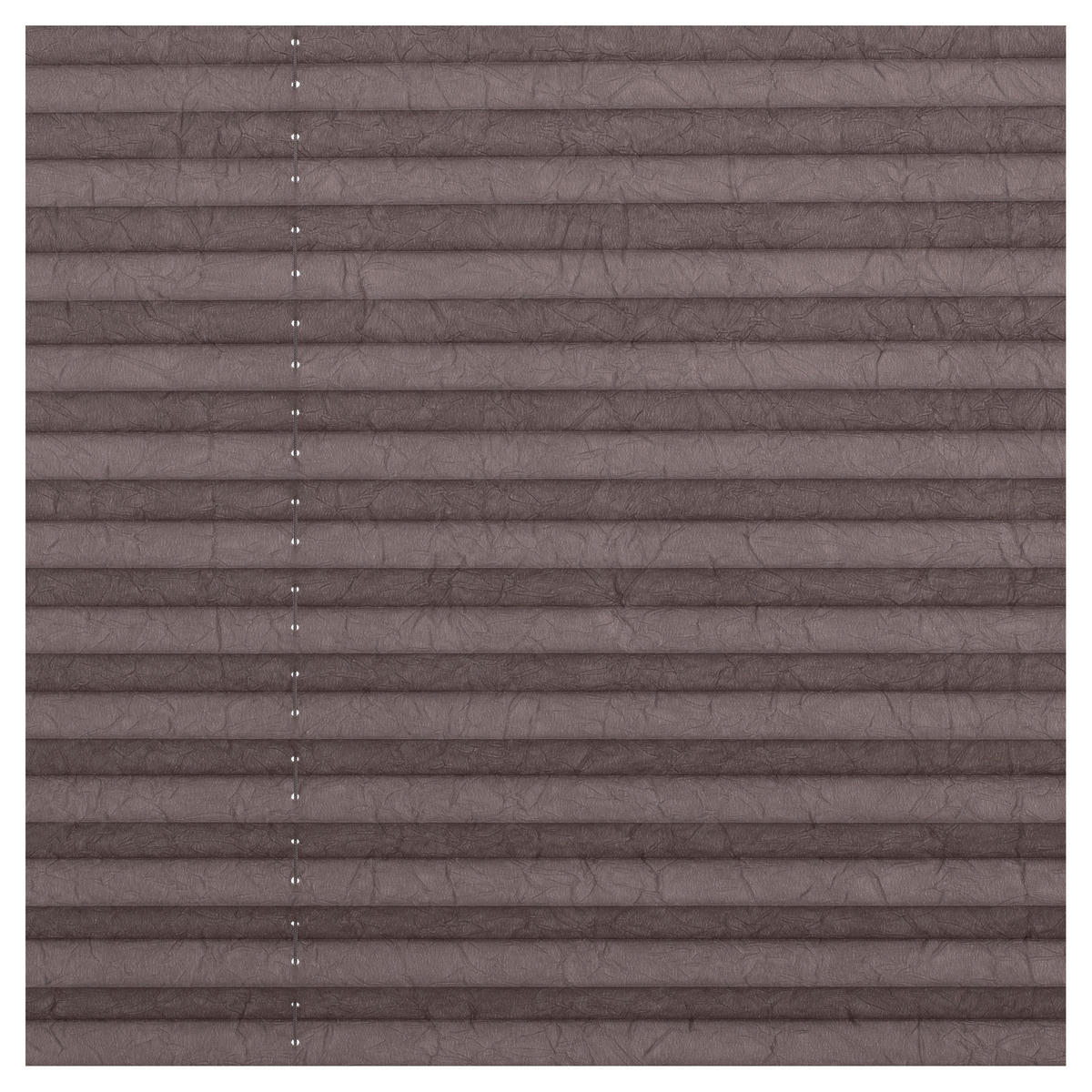 Spannplissee taupe B/L: ca. 50x130 cm Plissee_Klemmfix - taupe (50,00/130,00cm) - LICHTBLICK