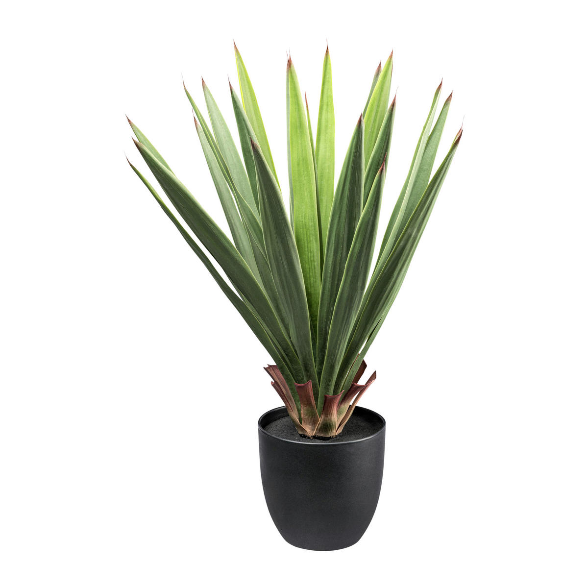 Kunstpflanze Dracaena grün Kunststoff B/H/L: ca. 20x68x20 cm Dracaena - grün (20,00/20,00/68,00cm)