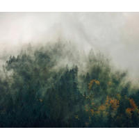 Komar Fototapete Tales of the Carpthians B/L: ca. 300x250 cm Tales of the Carpthians - (300,00/250,00cm) - Komar