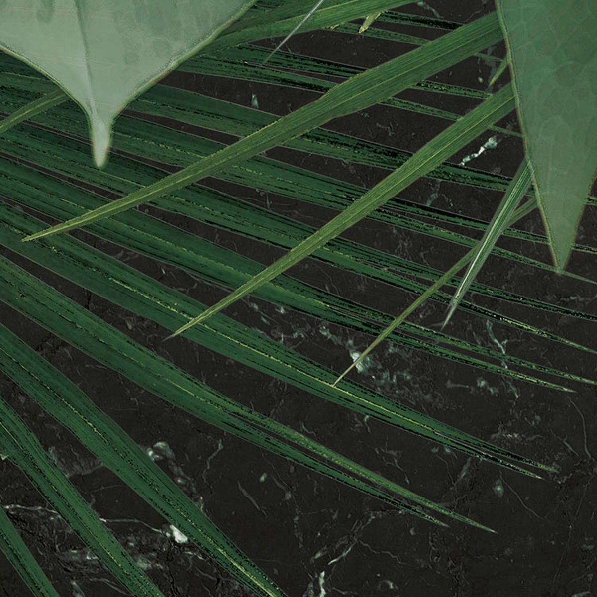 Komar Fototapete Novel Monstera D: ca. 125 cm Novel Monstera - (125,00cm) - Komar