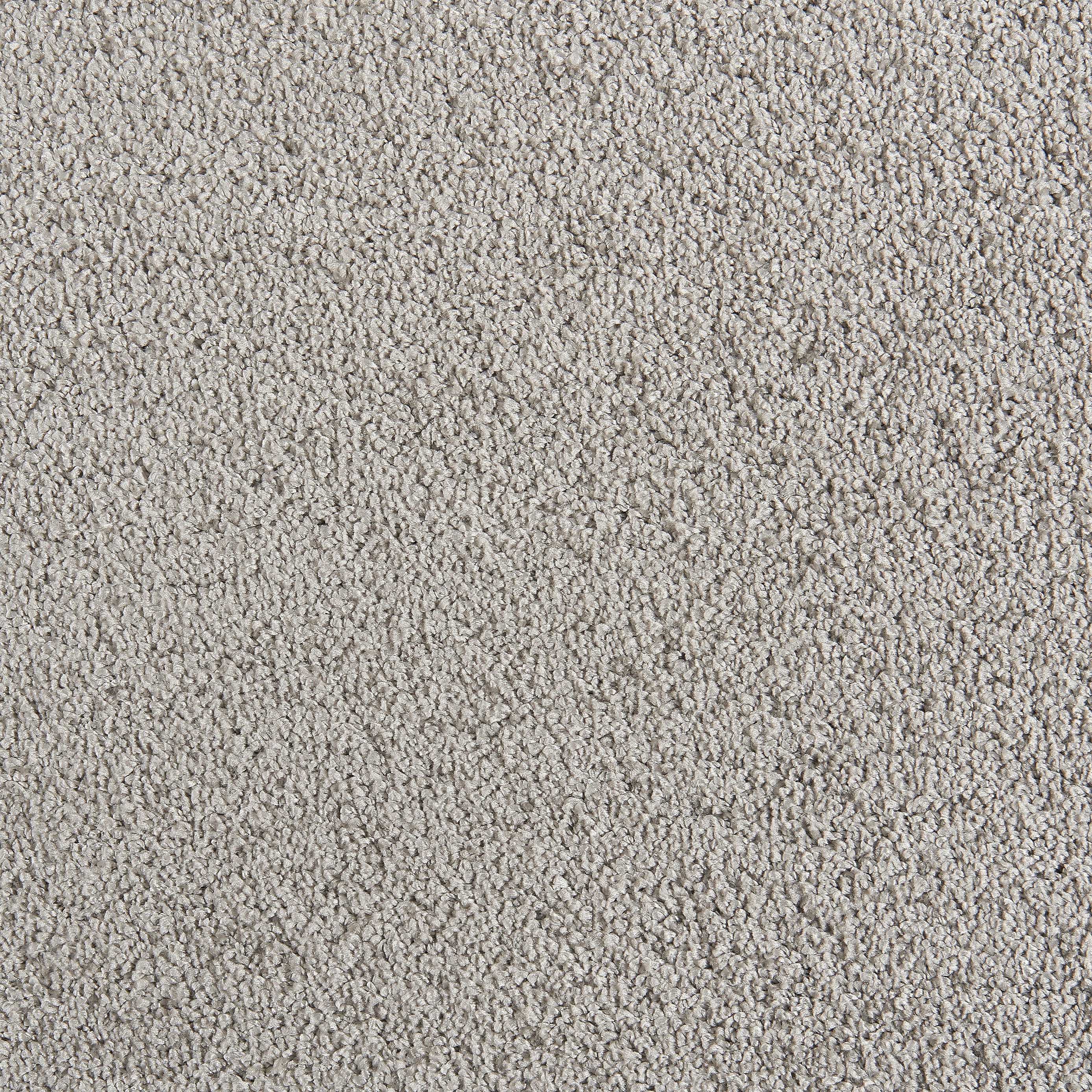 Teppichboden Crown grau B: ca. 500 cm pro m² Crown - grau (500,00cm)