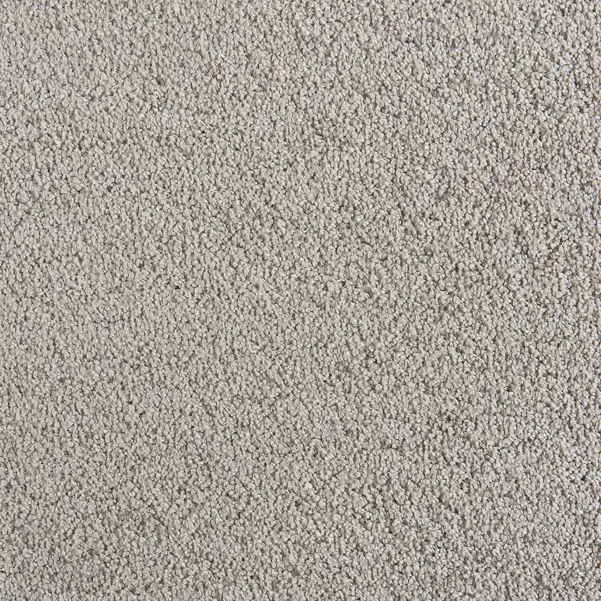 Teppichboden Crown grau B: ca. 400 cm pro m² Crown - grau (400,00cm)