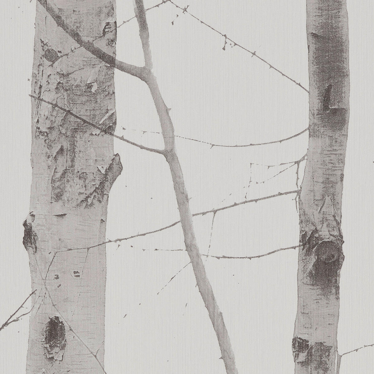 Vliestapete Birkenwald grau creme B/L: ca. 53x1005 cm Vliestapete_6305-10 - creme/grau (53,00/1005,00cm)