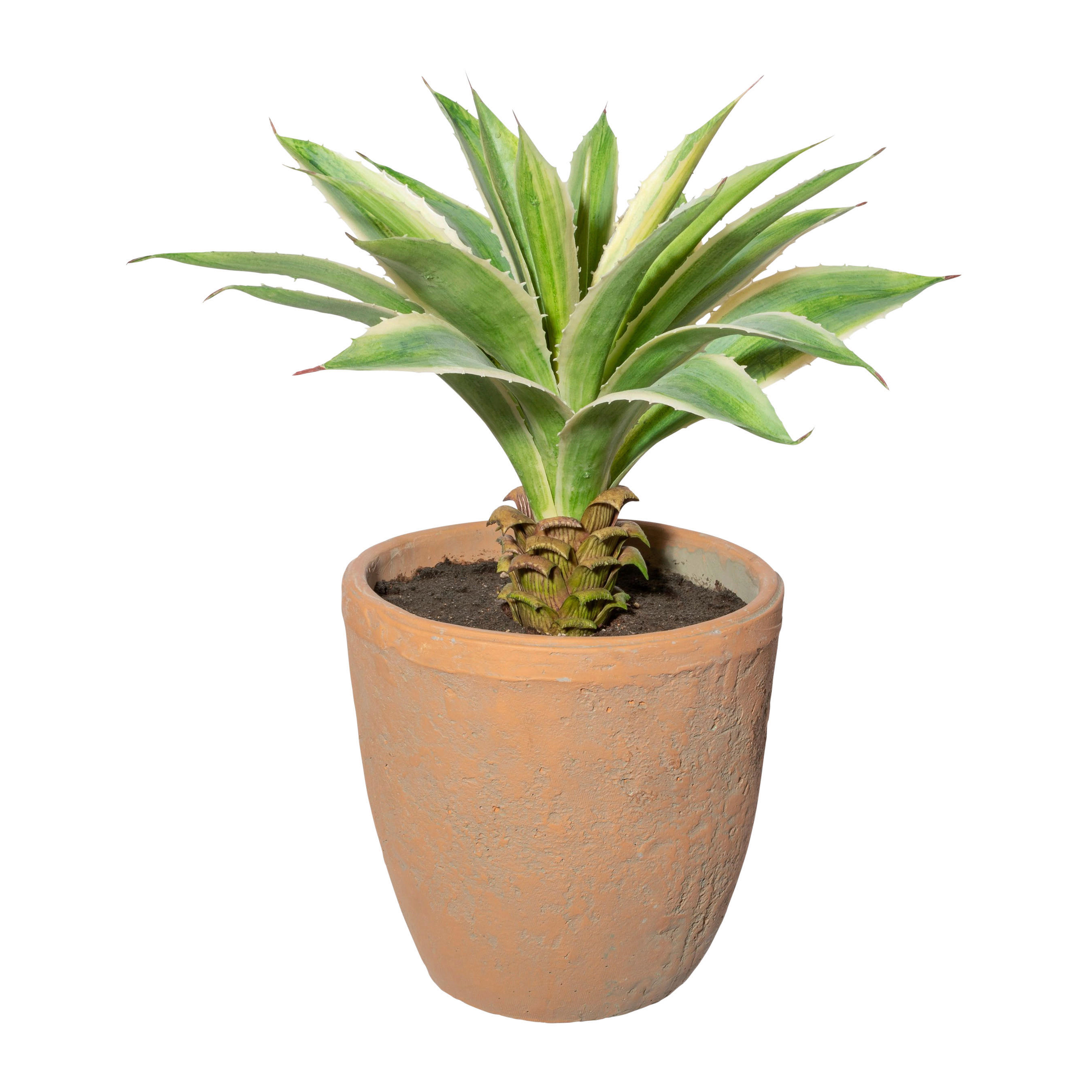 Kunstpflanze Agave grün Kunststoff B/H/L: ca. 20x40x20 cm Agave - grün (20,00/20,00/40,00cm)