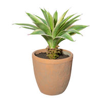 Kunstpflanze Agave grün Kunststoff B/H/L: ca. 20x40x20 cm Agave - grün (20,00/20,00/40,00cm)