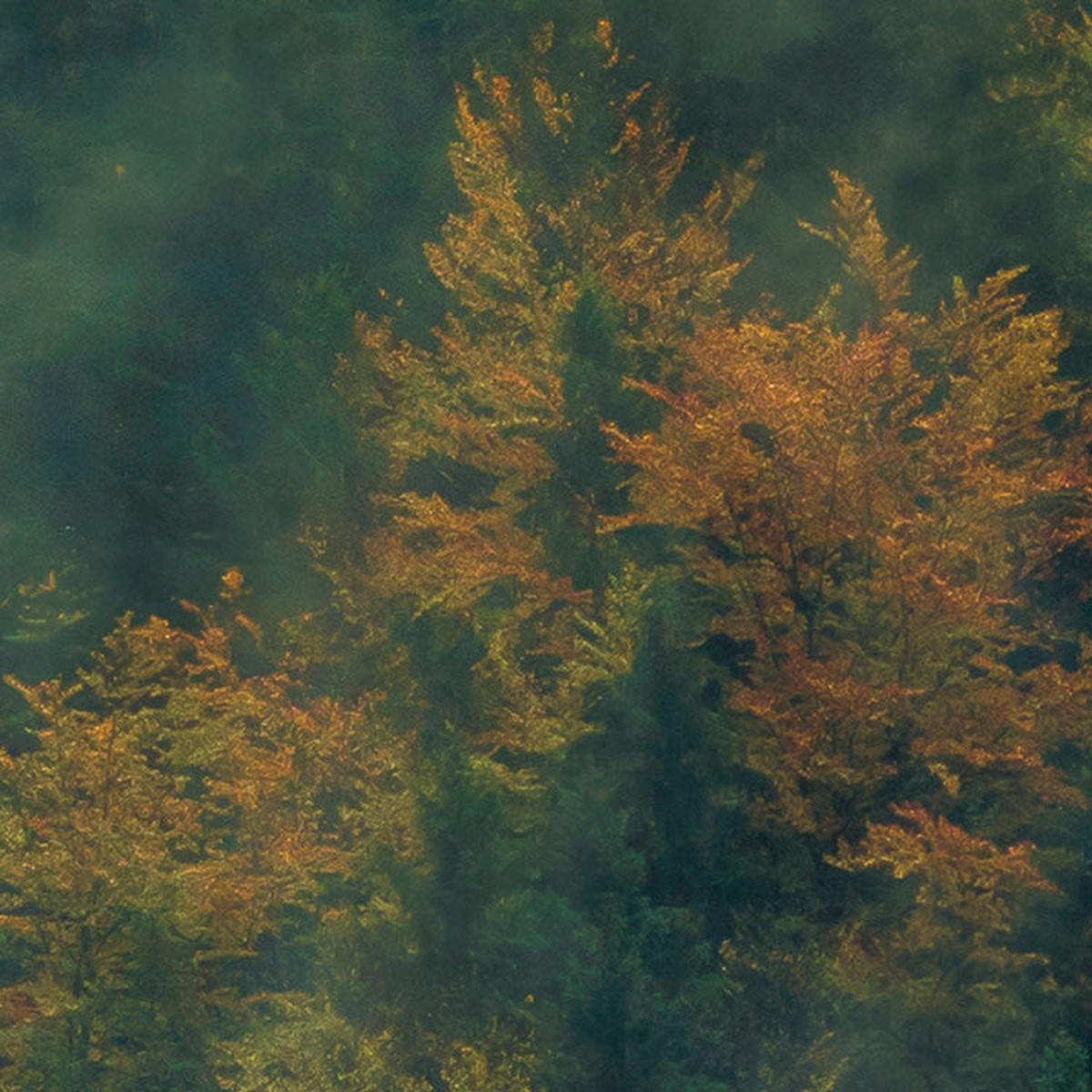 Komar Fototapete Tales of the Carpathians B/L: ca. 300x200 cm Tales of the Carpathians - (300,00/200,00cm) - Komar